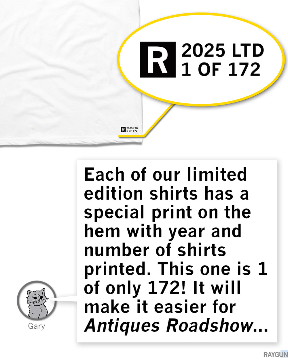 RAYGUN NASA Logo Limited Edition