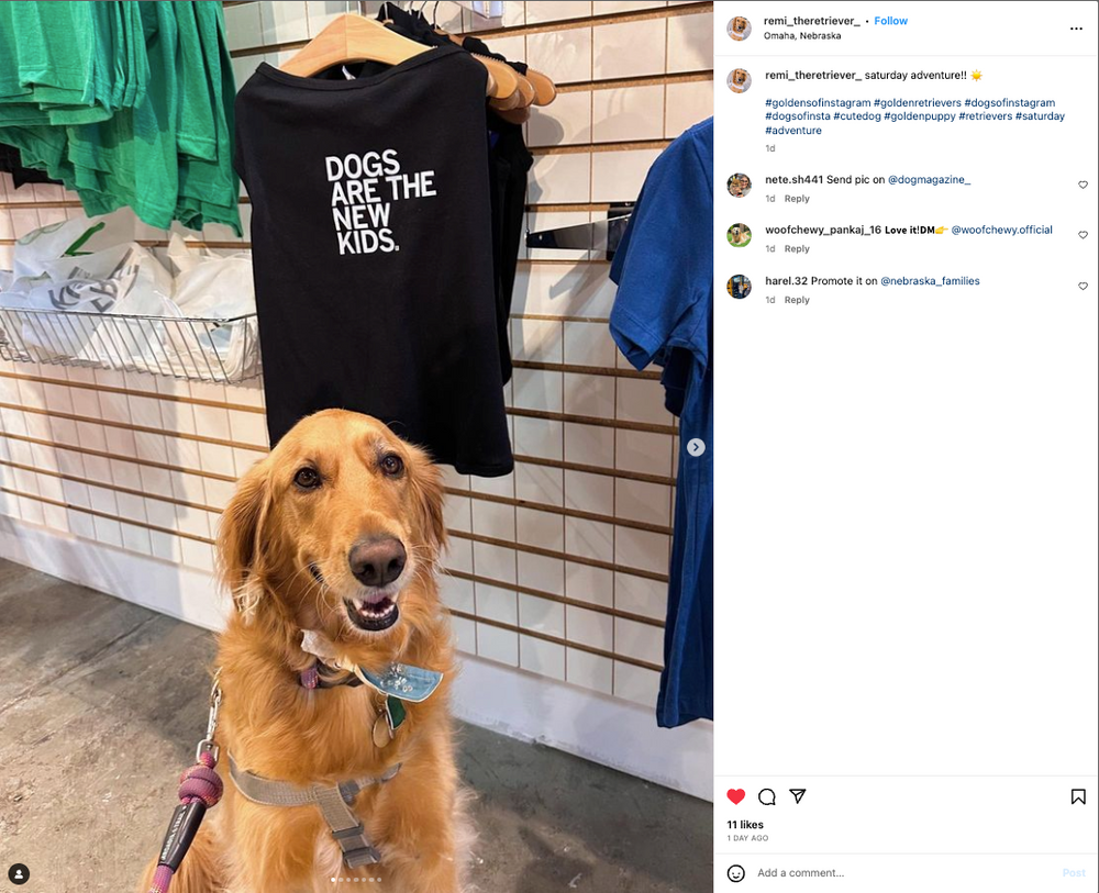 Dogs Are The New Kids Dog Shirt