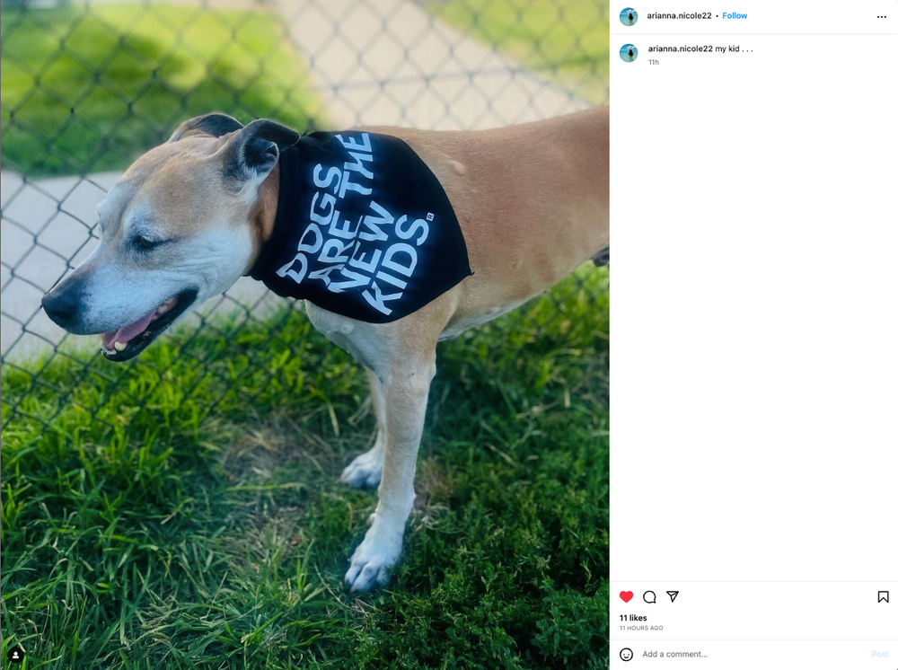 Dogs Are The New Kids Dog Bandana