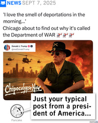 Middle Finger Chicago Flag