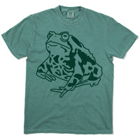 American Toad Heavyweight