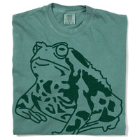 American Toad Heavyweight