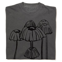 Marasmius Mushroom Heavyweight
