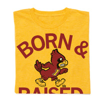 Iowa State Born and Raised Vintage Cy Shirt