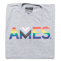 Ames Text Progress Pride Flag T-shirt