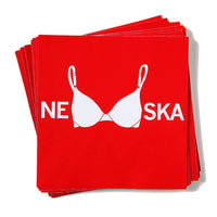 Nebraska Bra Sticker