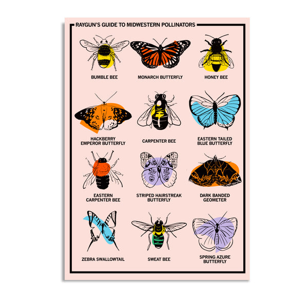 Midwestern Pollinators Postcard