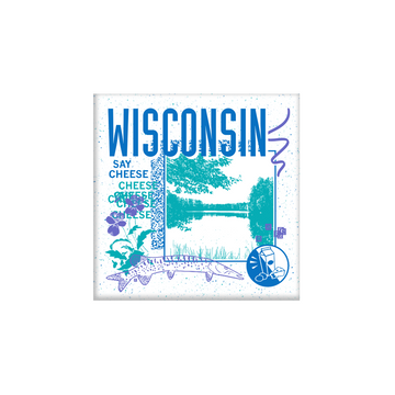 90's Wisconsin Magnet