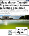 The Guardian headline reports that algae thwarted a $14.2m attempt to turn the Lincoln Memorial reflecting pool blue, with a cartoon dog mascot speech bubble reading, Lets go algae.
