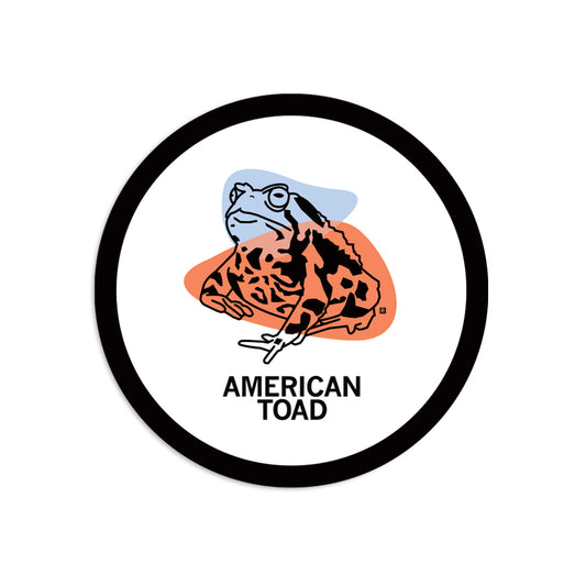 A circular RAYGUN vinyl sticker featuring an illustration of an American toad in front of blue and orange shapes, with the text AMERICAN TOAD below it.