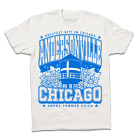 Andersonville Max Collegiate