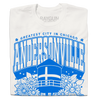 Folded short-sleeve white t-shirt with bright blue print. Text from top-to-bottom reads "GREATEST CITY IN CHICAGO. ANDERSONVILLE. CHICAGO. SWEDE SOMMAR CHILD." There's an illustration of the Andersonville Swedish flag water tower in the center, surrounded by flowers.