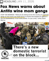 A satirical meme featuring a Fox News headline about Antifa wine mom gangs above a photo of a protestor in a heather denim t-shirt yelling at police, with the caption, There’s a new domestic terrorist on the block.
