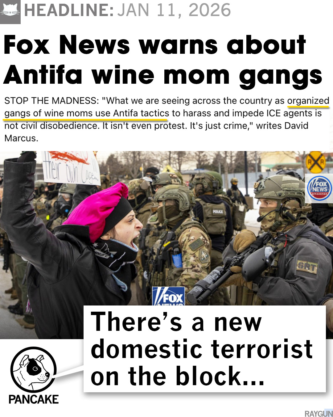A satirical meme featuring a Fox News headline about Antifa wine mom gangs above a photo of a protestor in a heather denim t-shirt yelling at police, with the caption, There’s a new domestic terrorist on the block.