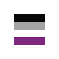 Asexual Pride Flag Mini Square Sticker