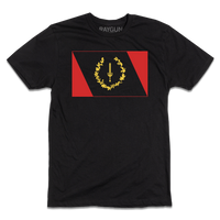 Black American Heritage Flag