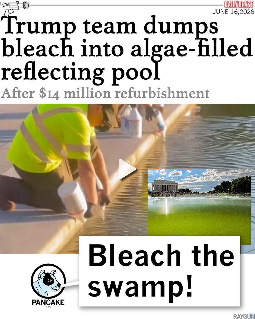 Team Algae