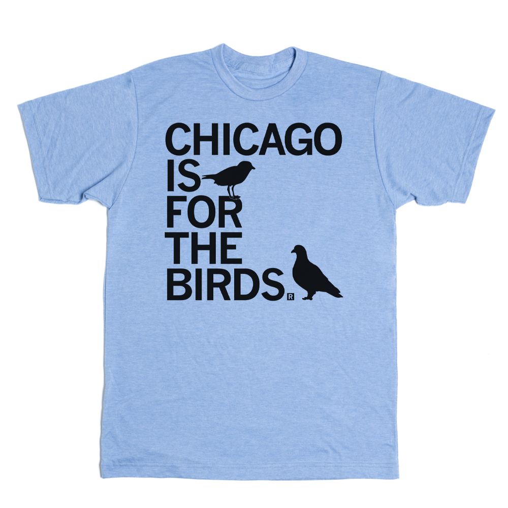 Chicago, Illinois t-shirt