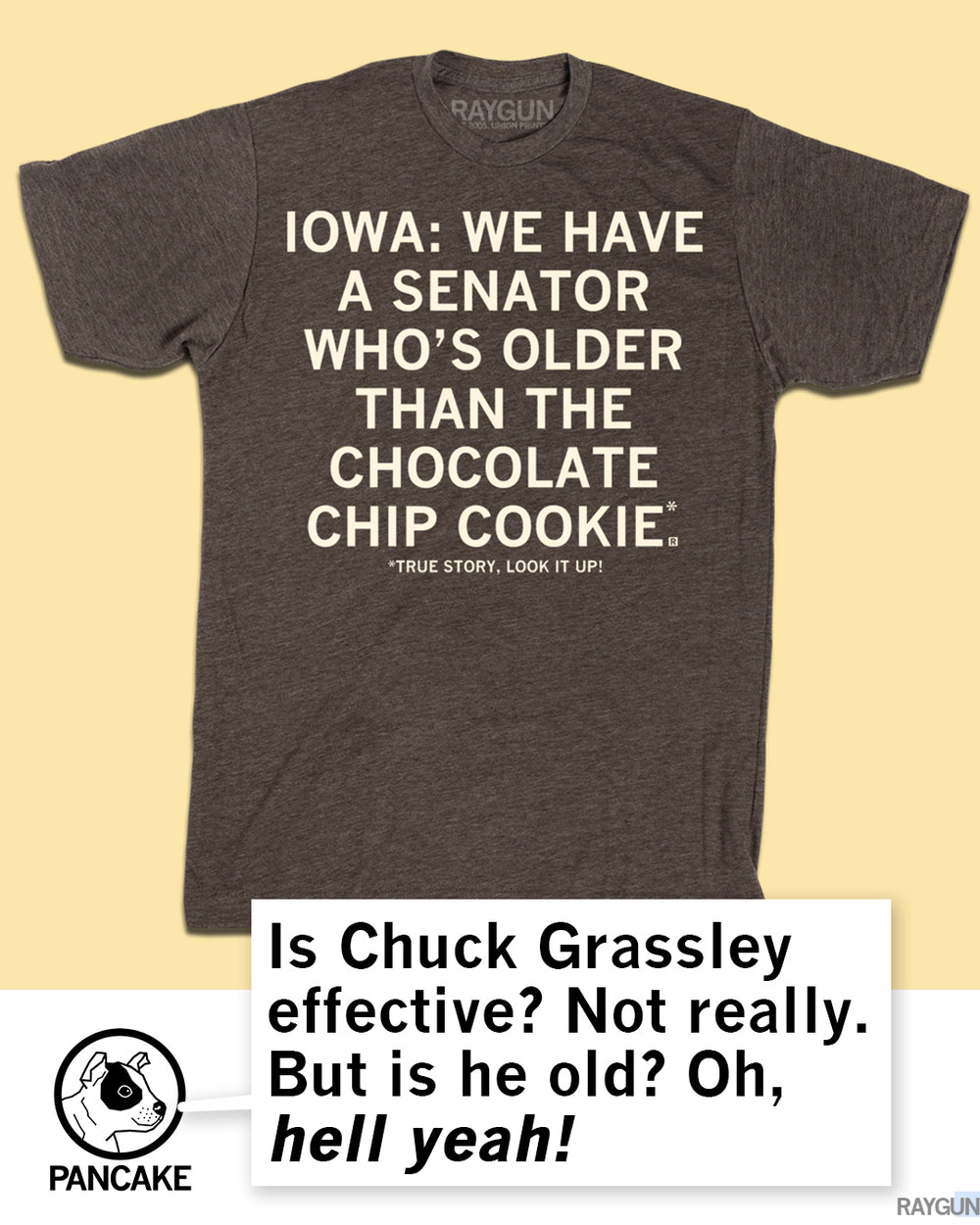 Grassley: Older Chocolate Chip Cookie