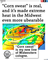 Corn Sweat & Tears Heavyweight
