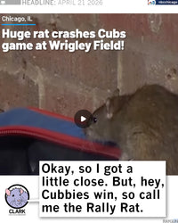 Rally Rat