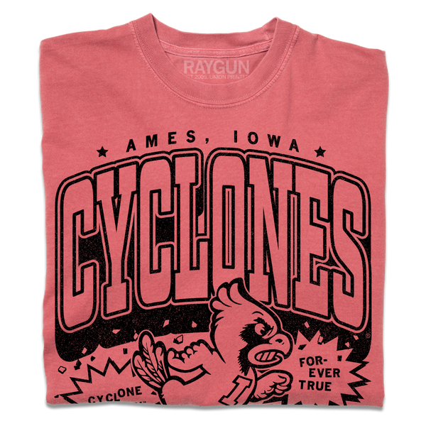 Folded heavyweight red t-shirt with black print that says, 