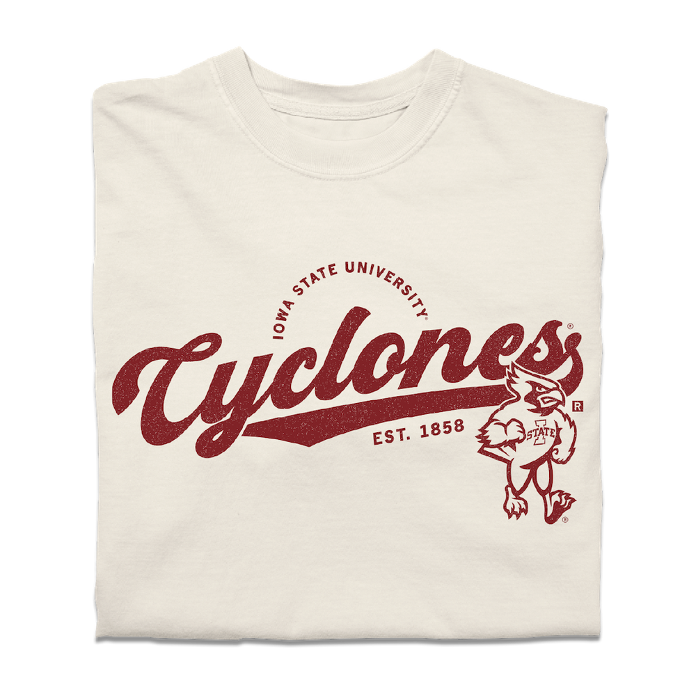 Cyclones Script Logo Heavyweight