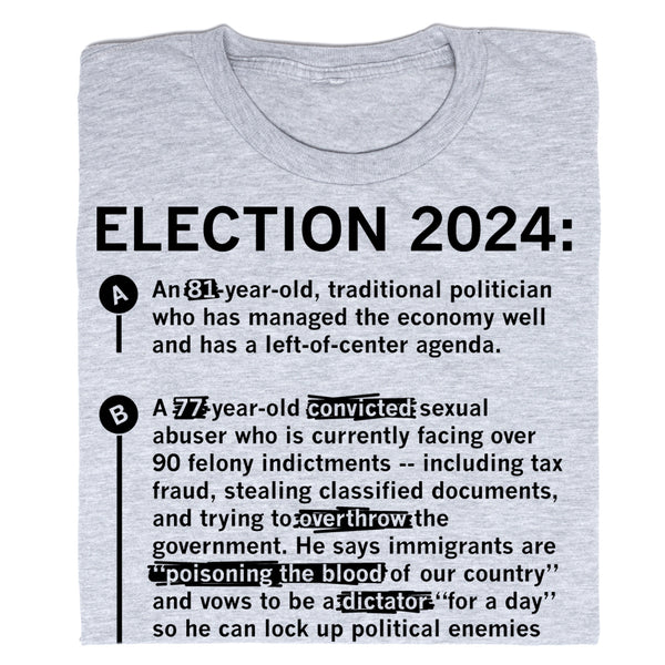 Election 2024: Decision