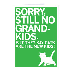 Sorry No Grandkids Cat Greeting Card – RAYGUN Sorry No Grandkids Cat Greeting Card – RAYGUN