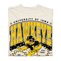 Hawkeye Football Max Collegiate Heavyweight