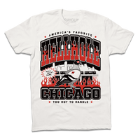 A white short-sleeve crewneck t-shirt featuring a bold graphic print on the front. The design displays 'HELLHOLE CHICAGO' in large black and red letters, with a cartoon pigeon, flames, and a Chicago skyline silhouette in the center.