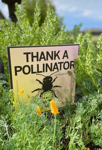 Thank A Pollinator Yard Sign