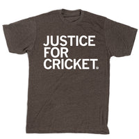 Justice For Cricket