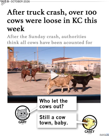 RAYGUN News article about cows loose in Kansas City after a truck crash. RAYGUN characters Gary the cat and Casey the cow commenting on the issue. 