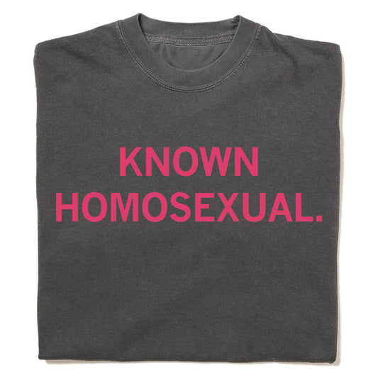 Charcoal grey heavyweight ringspun cotton t-shirt with the text KNOWN HOMOSEXUAL. printed in pink across the chest.