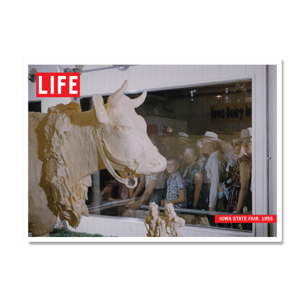 LIFE Magazine: Iowa State Fair Butter Cow Postcard