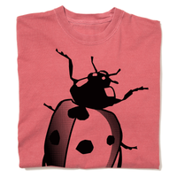 Ladybug Heavyweight