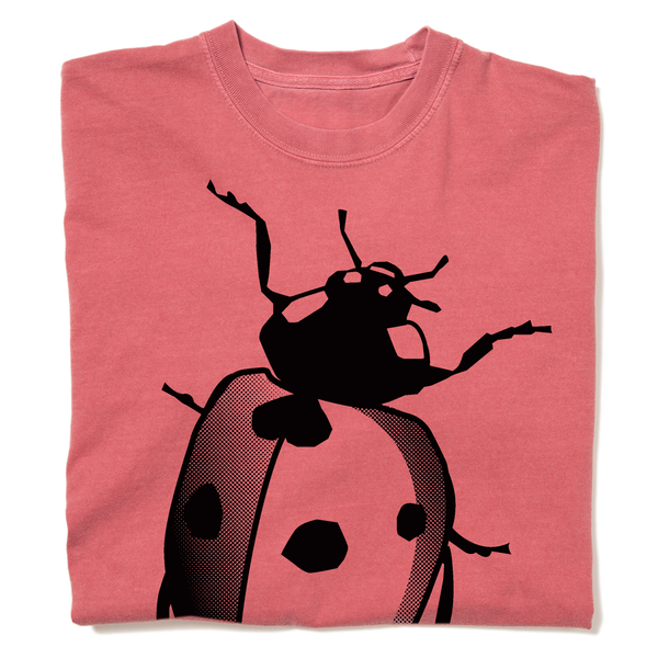 Ladybug Heavyweight