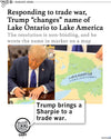 Promo image with the headline "Responding to trade war, Trump "changes" name of Lake Ontario to Lake America" above a picture of him writing in sharper on a map. RAYGUN's cat mascot, Gary, is at the bottom saying, "Trump brings a Sharpie to a trade war."