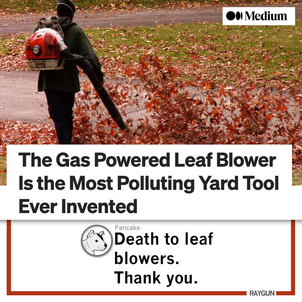 Death to Leaf Blowers