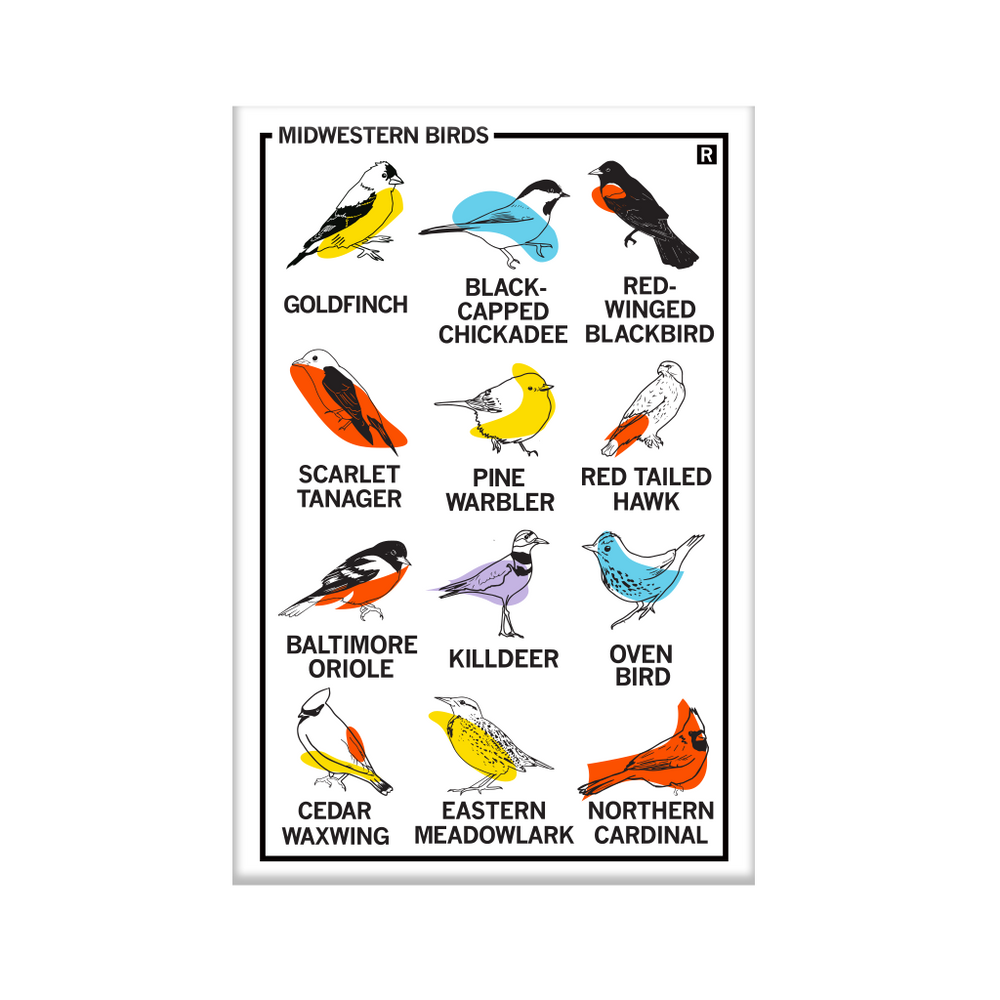 Vertical white magnet with a 3x4 grid of different bird illustrations with their names below their pictures. The top left says, "MIDWESTERN BIRDS"