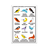 Vertical white magnet with a 3x4 grid of different bird illustrations with their names below their pictures. The top left says, "MIDWESTERN BIRDS"