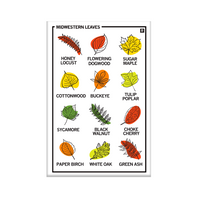 Vertical white magnet with a 3x4 grid of different leaf illustrations with their names below their pictures. The top left says, "MIDWESTERN LEAVES."