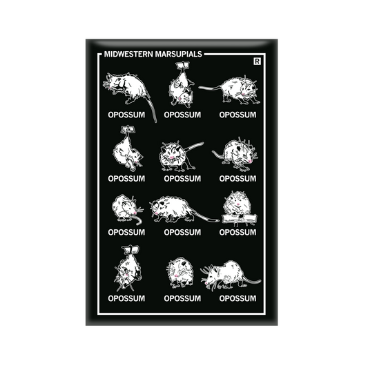 Vertical black magnet with a 3x4 grid of different opossum illustrations with their names below their pictures. The top left says, "MIDWESTERN MARSUPIALS"