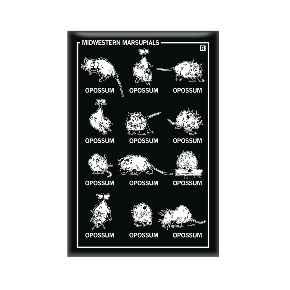Vertical black magnet with a 3x4 grid of different opossum illustrations with their names below their pictures. The top left says, "MIDWESTERN MARSUPIALS"
