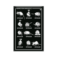 Vertical black magnet with a 3x4 grid of different opossum illustrations with their names below their pictures. The top left says, "MIDWESTERN MARSUPIALS"