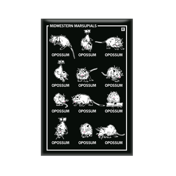 Vertical black magnet with a 3x4 grid of different opossum illustrations with their names below their pictures. The top left says, 