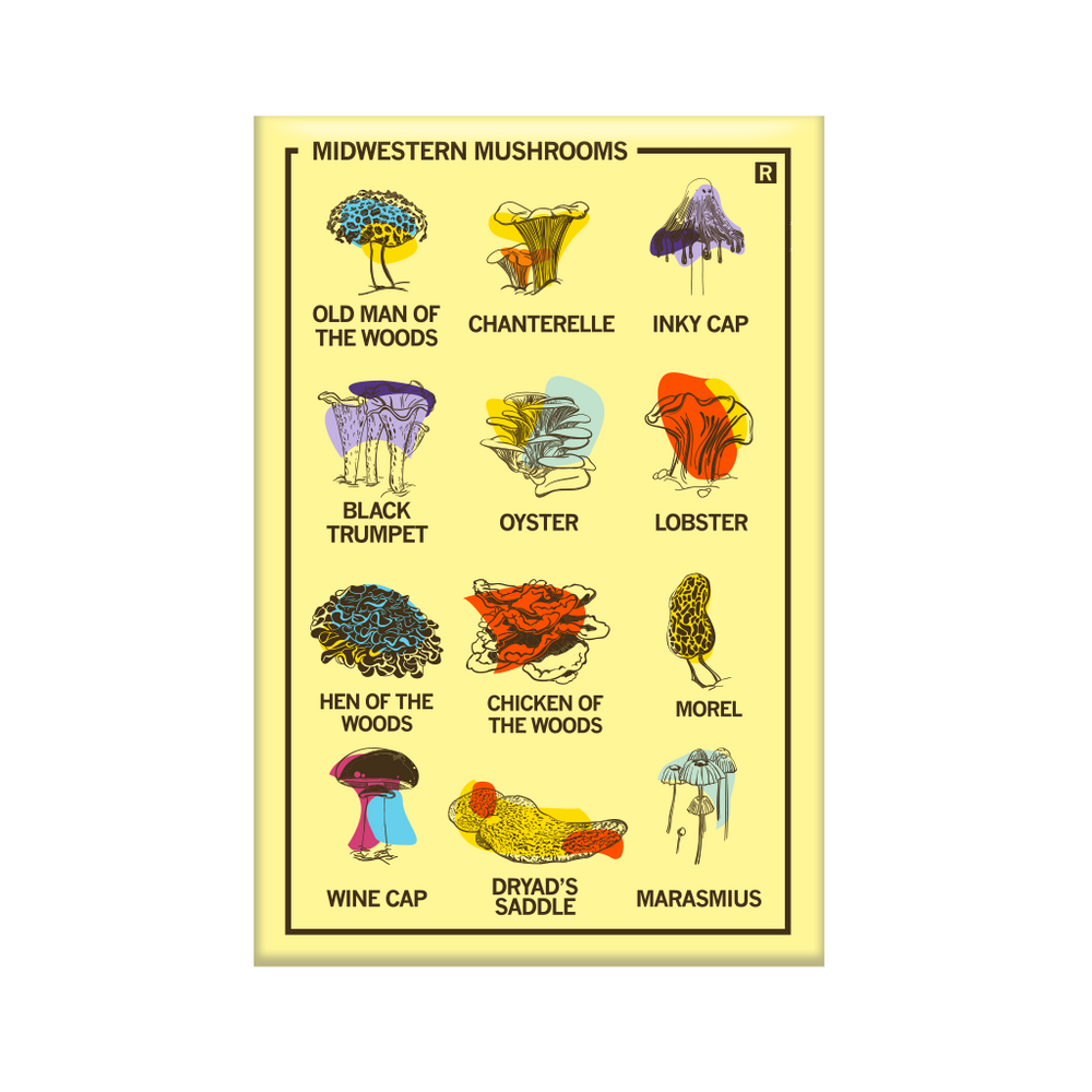 Vertical pale yellow magnet with a 3x4 grid of different mushrooms illustrations with their names below their pictures. The top left says, "MIDWESTERN MUSHROOMS"