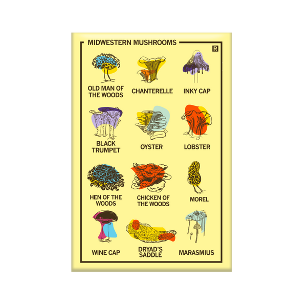 Vertical pale yellow magnet with a 3x4 grid of different mushrooms illustrations with their names below their pictures. The top left says, 