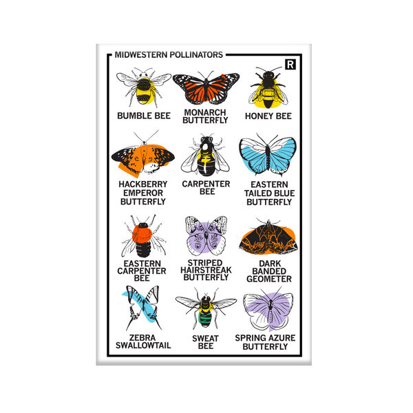 Vertical white magnet with a 3x4 grid of different pollinators illustrations with their names below their pictures. The top left says, 